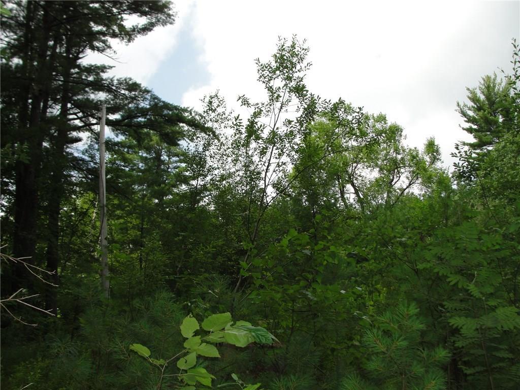 0 South Bridgton Road Bridgton, ME 04009 - Photo 7 of 11 Photo