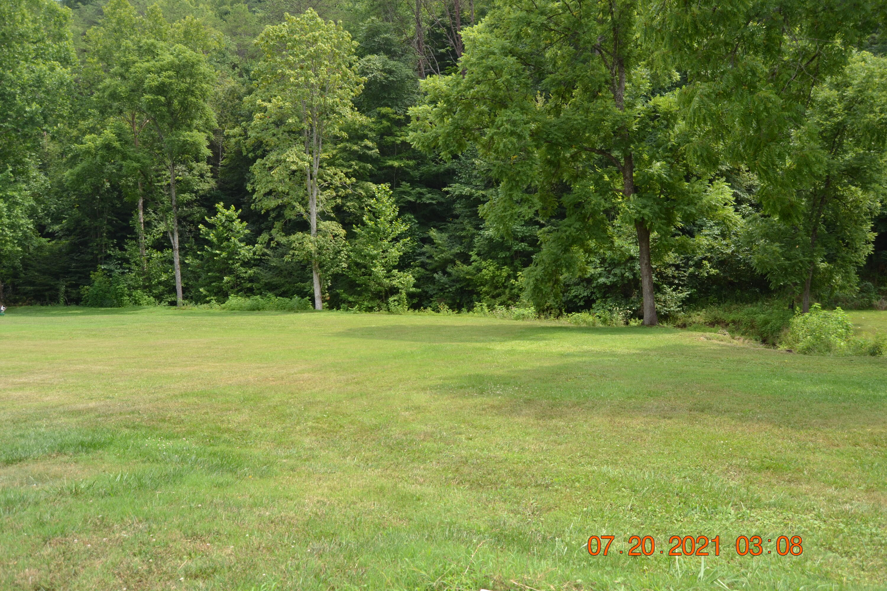 270 Kettle Hollow Road Maynardville, TN 37807 - Photo 6 of 26 Back Yard
