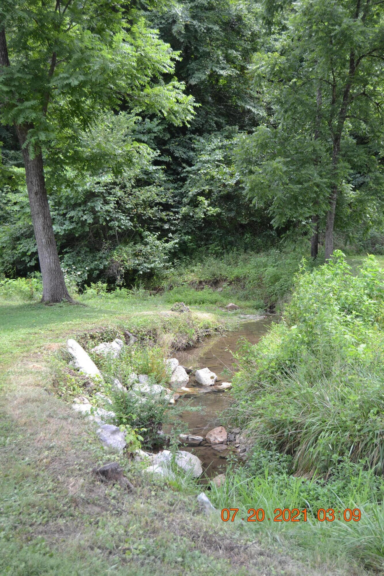 270 Kettle Hollow Road Maynardville, TN 37807 - Photo 7 of 26 DSC_0704