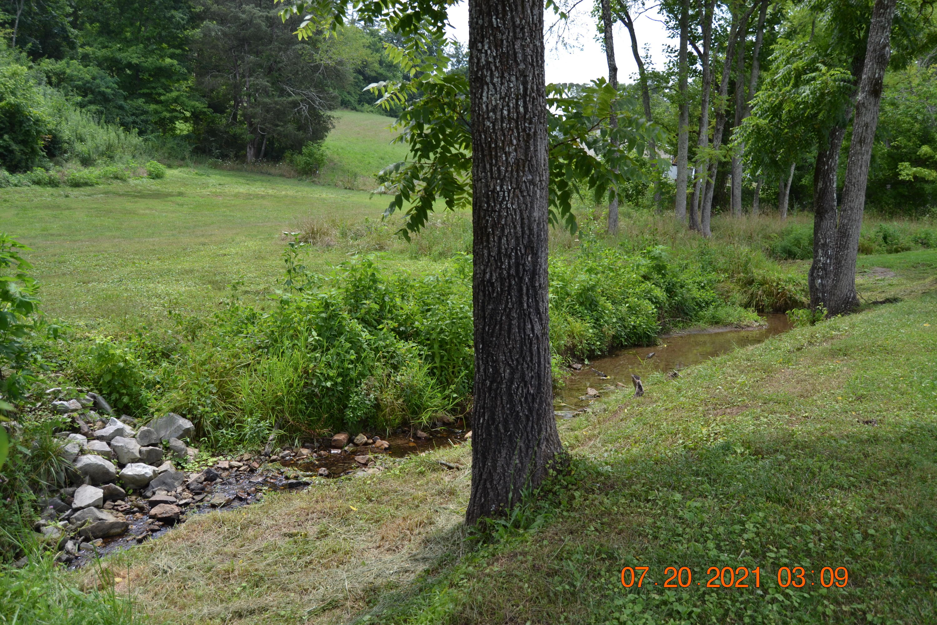 270 Kettle Hollow Road Maynardville, TN 37807 - Photo 8 of 26 DSC_0705