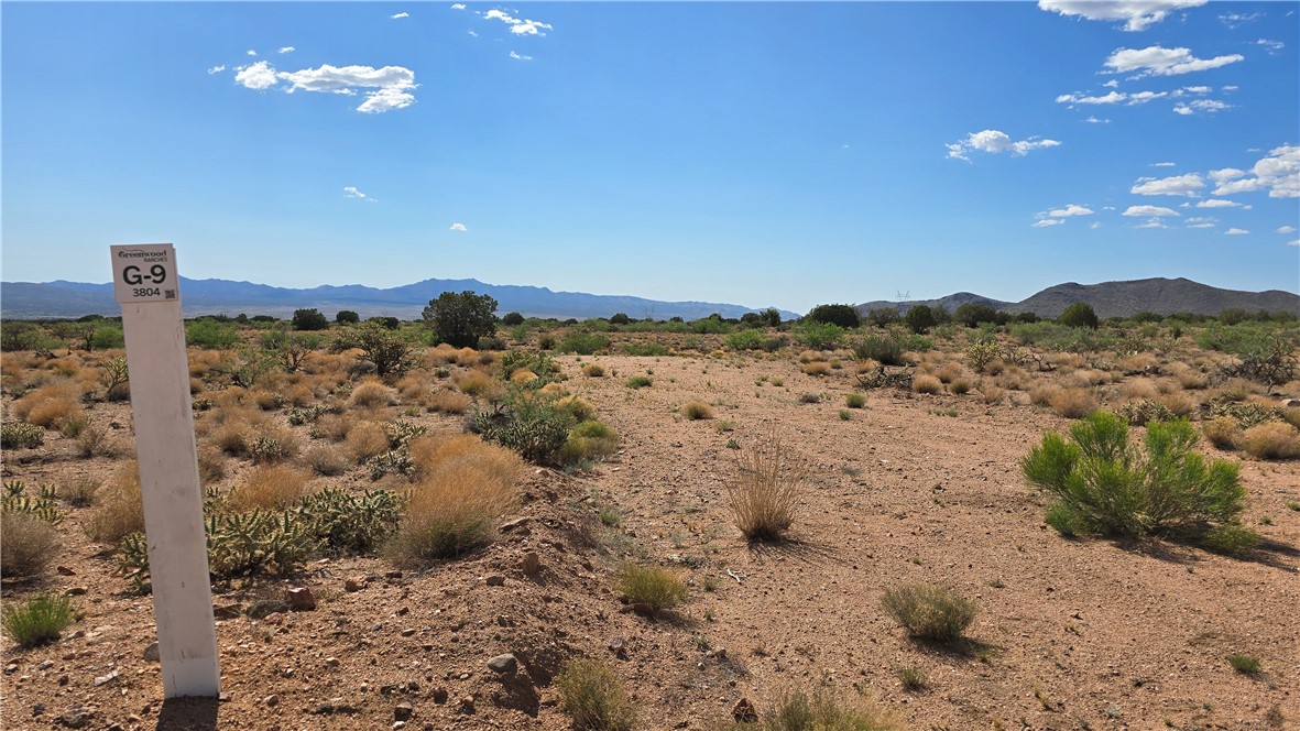 353-36-158 North Tyree Road Hackberry, AZ 86411 - Photo 4 of 19