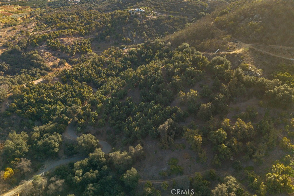 0 Circle R Drive Escondido, CA 92026 - Photo 15 of 28 a view of a forest