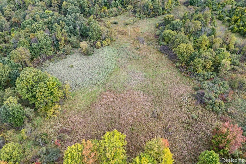 0 Swarthout Road Pinckney, MI 48169 - Photo 8 of 16