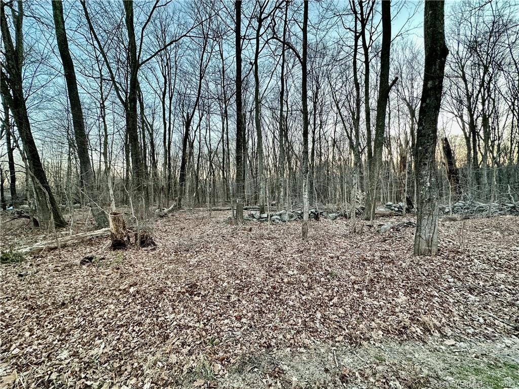 0 Levita Road Lebanon, CT 06249 - Photo 1 of 1 Gorgeous 19.5 Acres!