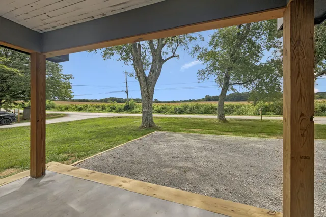 a view of backyard with tree