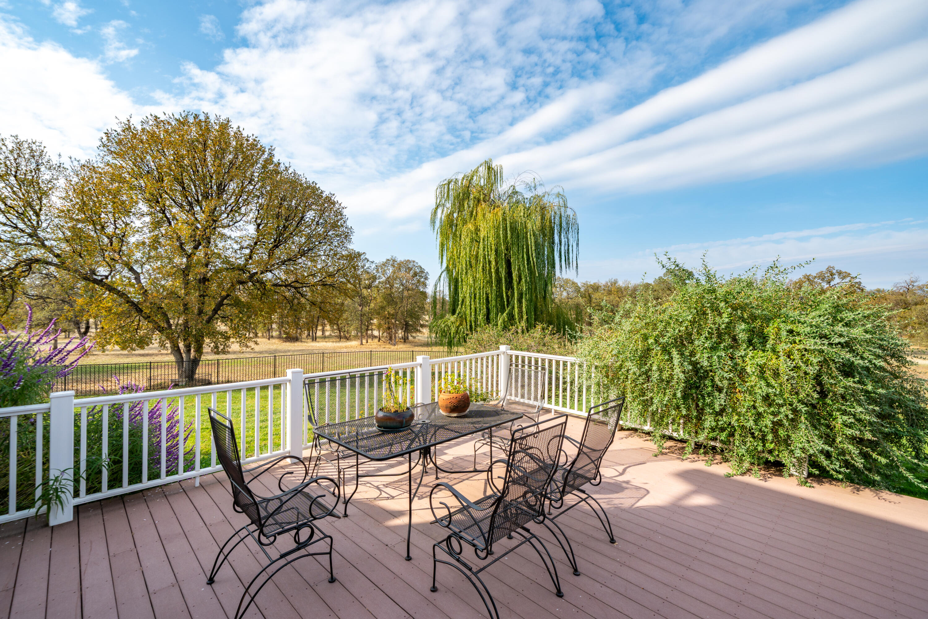 8180 Whispering Oaks Road Redding, CA 96002 - Photo 59 of 100 WEEPING WILLOW