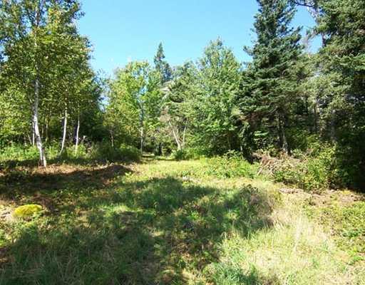 1 Nutterdrive The Point Bass Harbor, ME 04653 - Photo 3 of 16 Land/Lot.