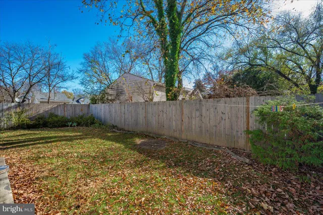 a view of a backyard with large trees and wooden fence