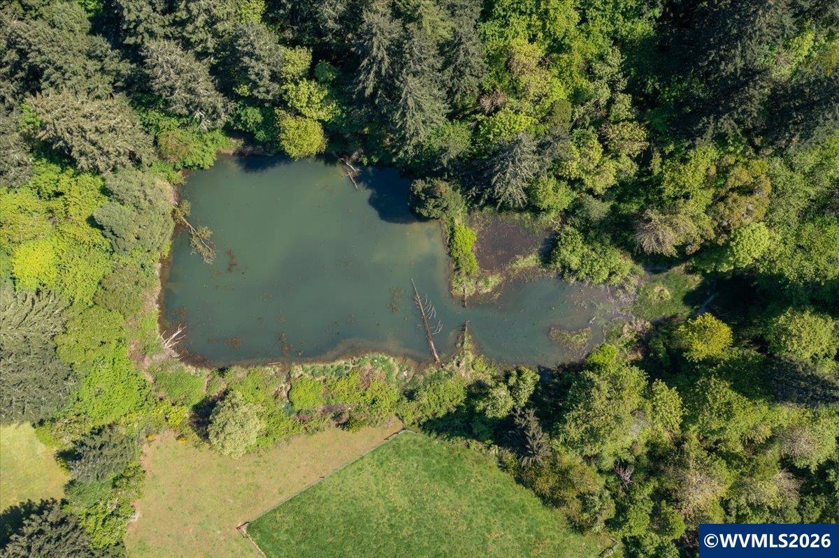 201560 Orchard Tract Road Monroe, OR 97456 - Photo 8 of 23
