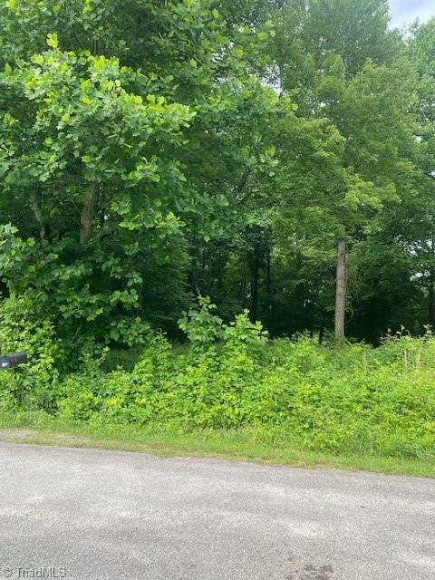 0 Mountain View Road North Wilkesboro, NC 28659 - Photo 1 of 1