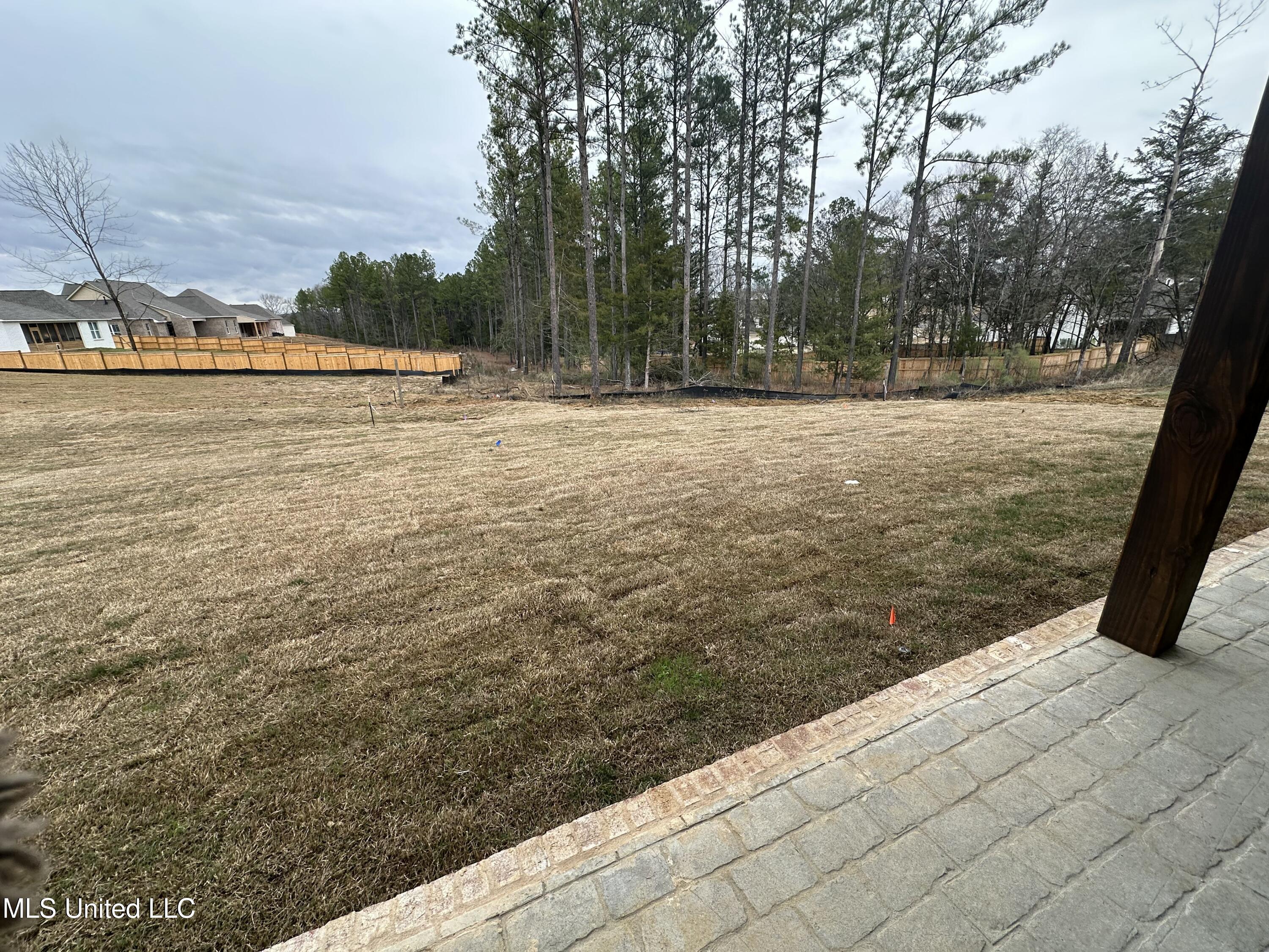 377 Wellstone Place Madison, MS 39110 - Photo 36 of 36 IMG_4745