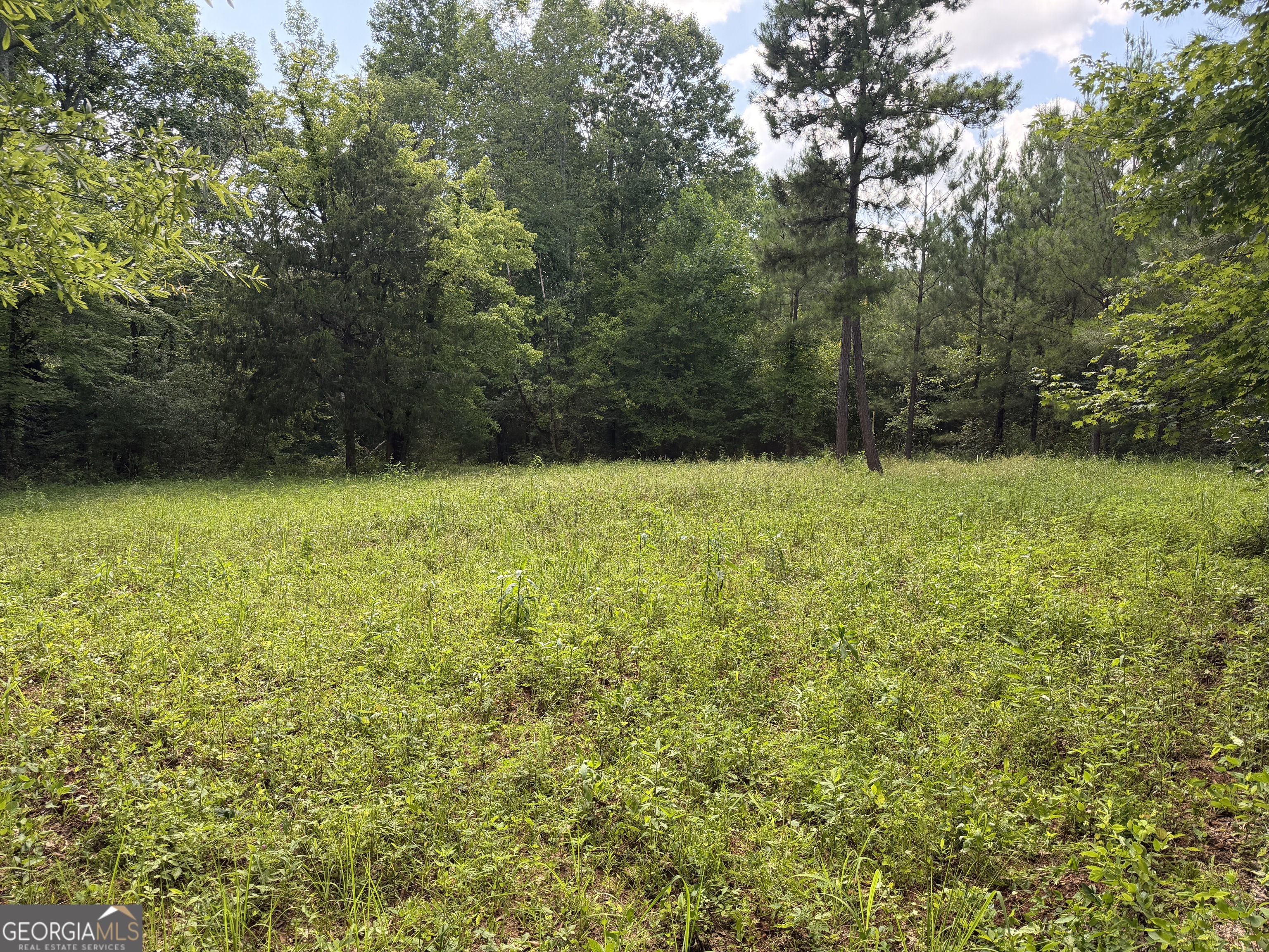 0 Noles Road Franklin, GA 30217 - Photo 15 of 21 a view of a yard with a trees
