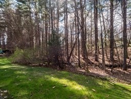 374 Great Road, Unit 11 Acton, MA 01720 - Photo 26 of 30 a view of backyard with green space