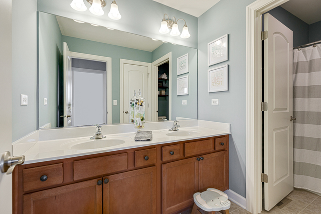 4380 John Milton Road Elgin, IL 60124 - Photo 21 of 30 a bathroom with a sink and a mirror