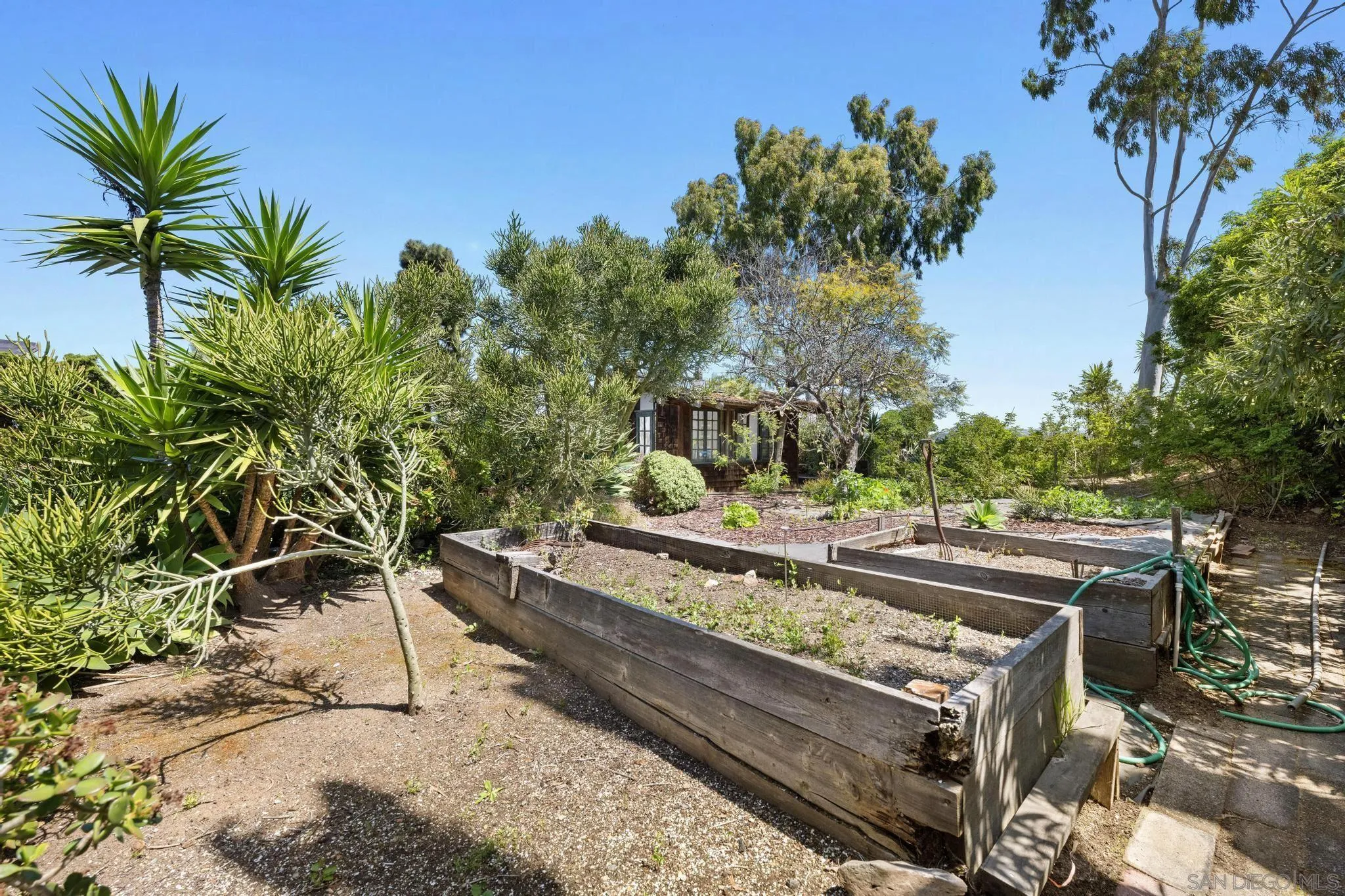 149 Beechtree Drive Encinitas, CA 92024 - Photo 39 of 55 a view of a backyard with chairs