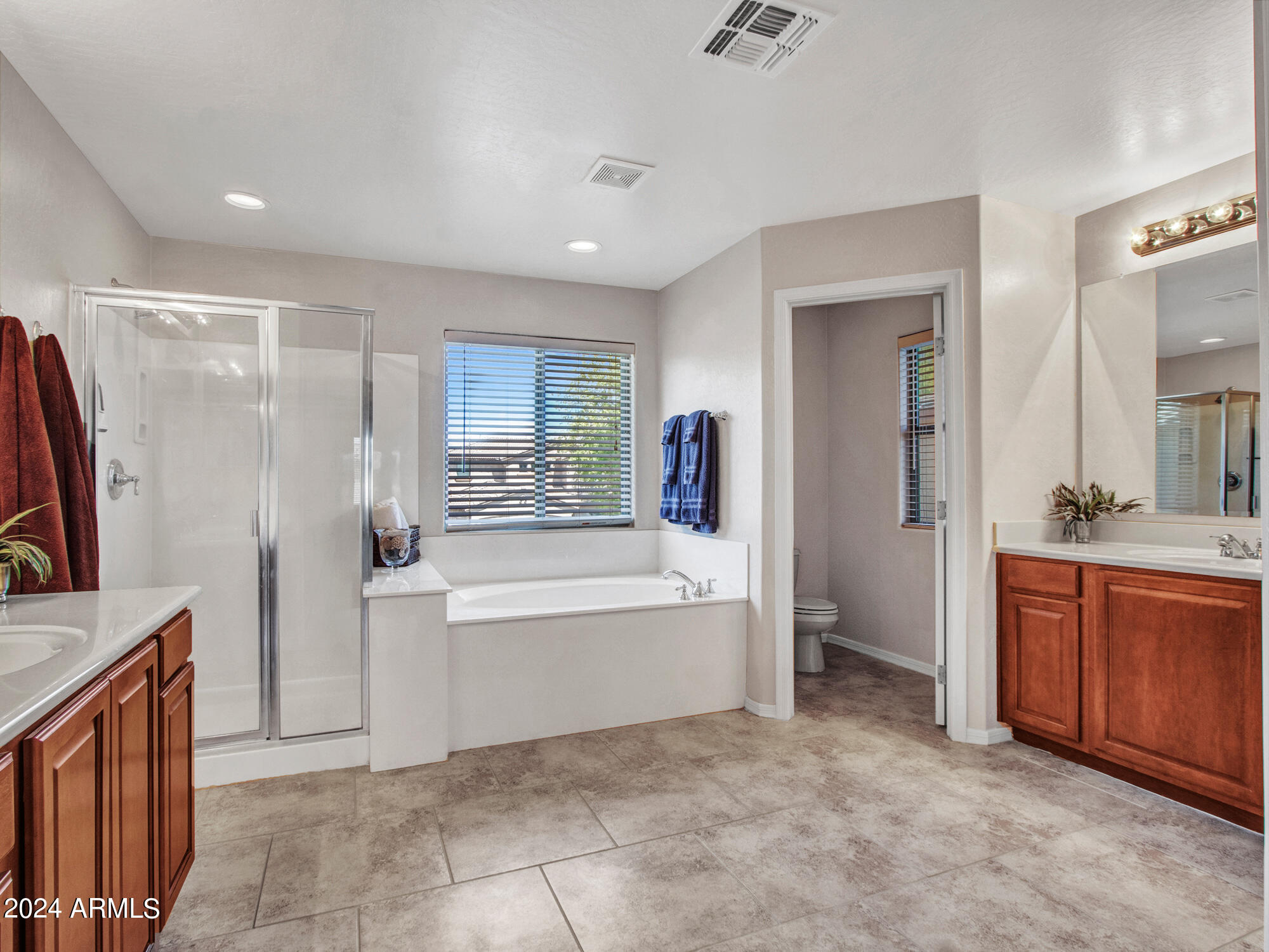 16509 West Rowel Road Surprise, AZ 85387 - Photo 29 of 41 Private Toilet Closet