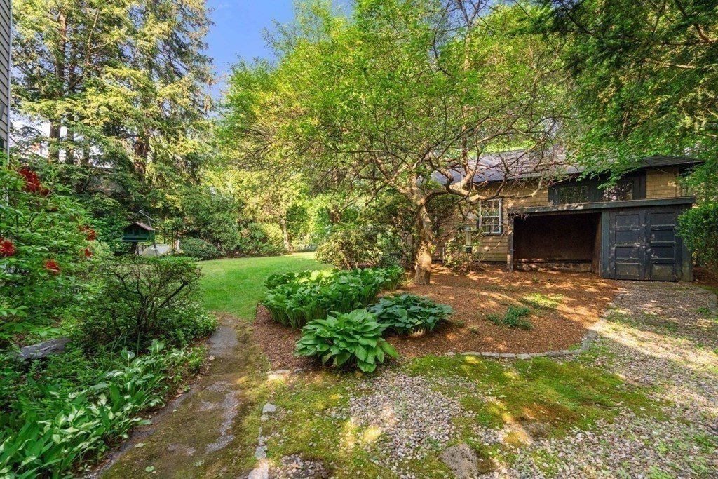 24 Percy Road Lexington, MA 02421 - Photo 31 of 38 a view of a yard with plants and a large tree