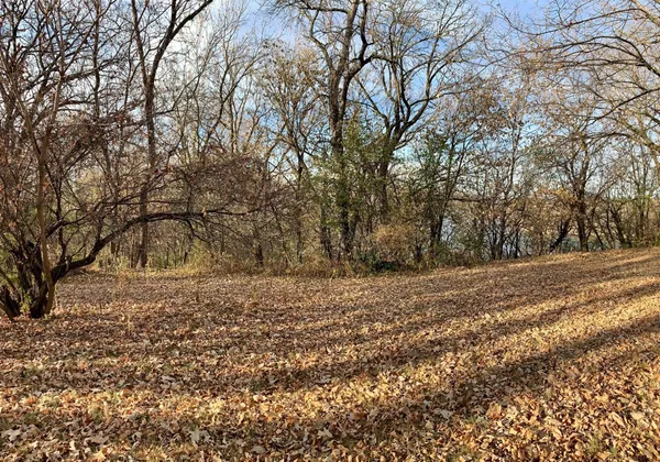 $50,000 | Tbd South Ramsey Street, Redwood Falls, MN 56283