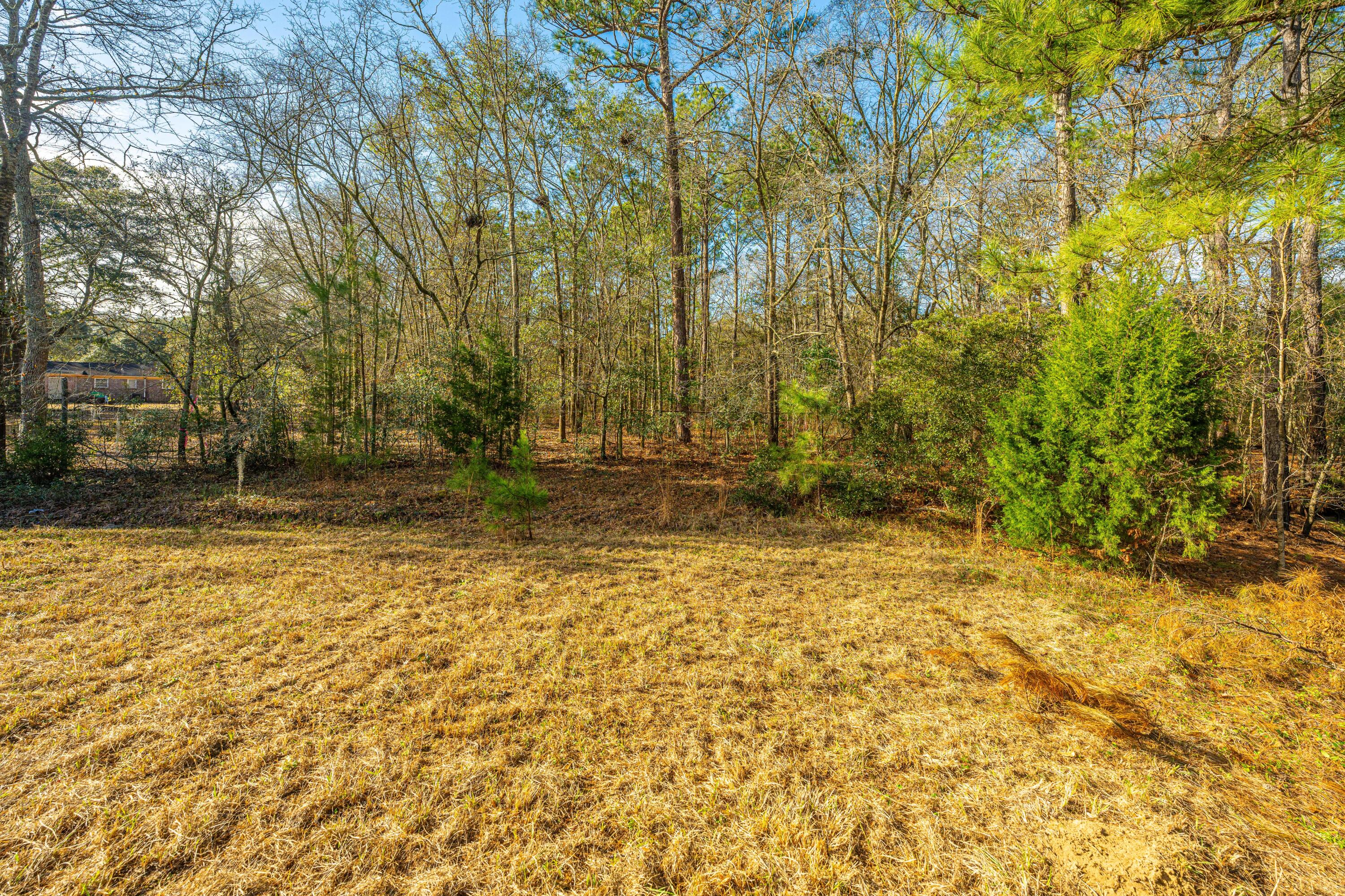 5731 Chaplins Landing Road Hollywood, SC 29449 - Photo 31 of 41 5731ChaplinsLandingRd050