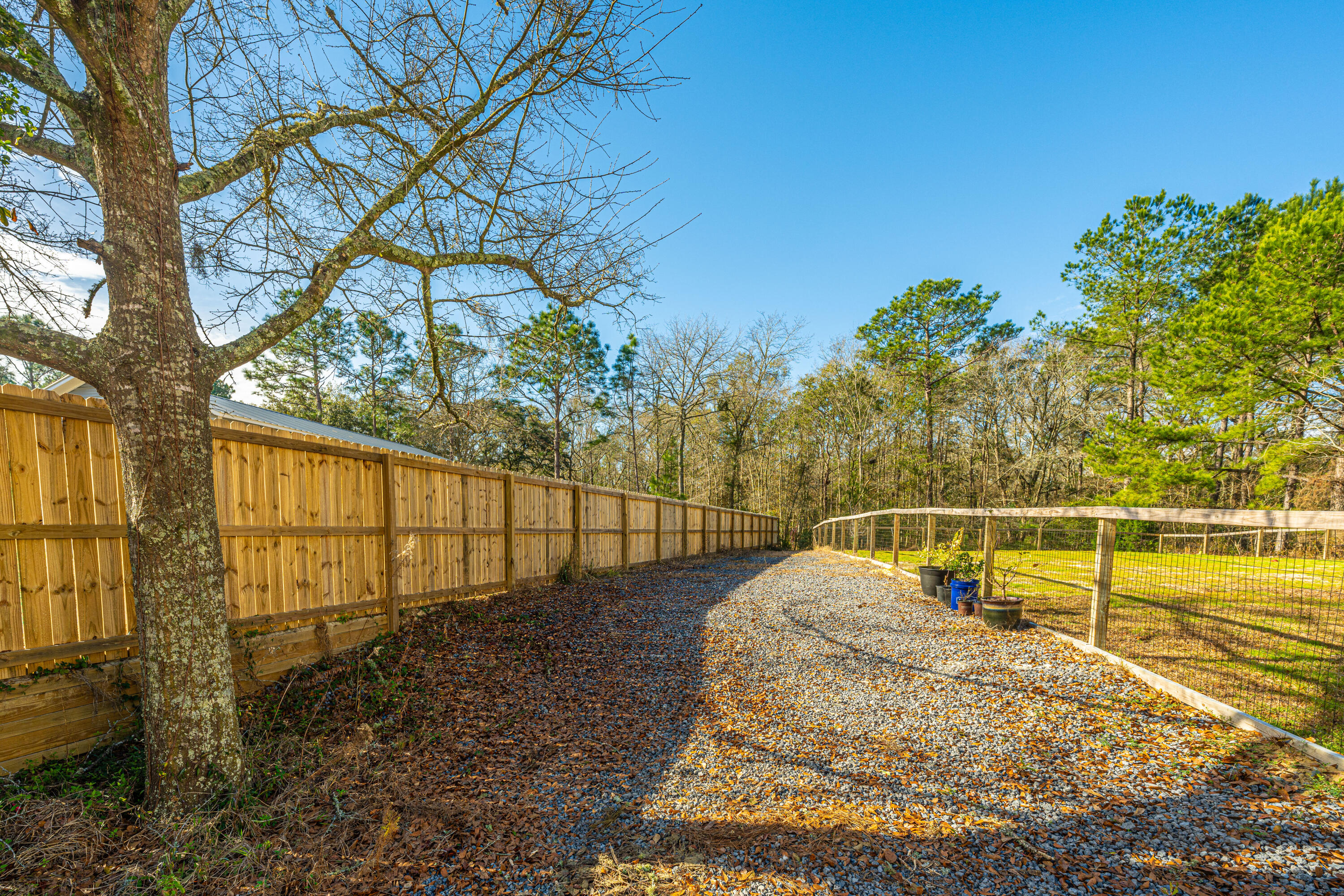 5731 Chaplins Landing Road Hollywood, SC 29449 - Photo 32 of 41 5731ChaplinsLandingRd051