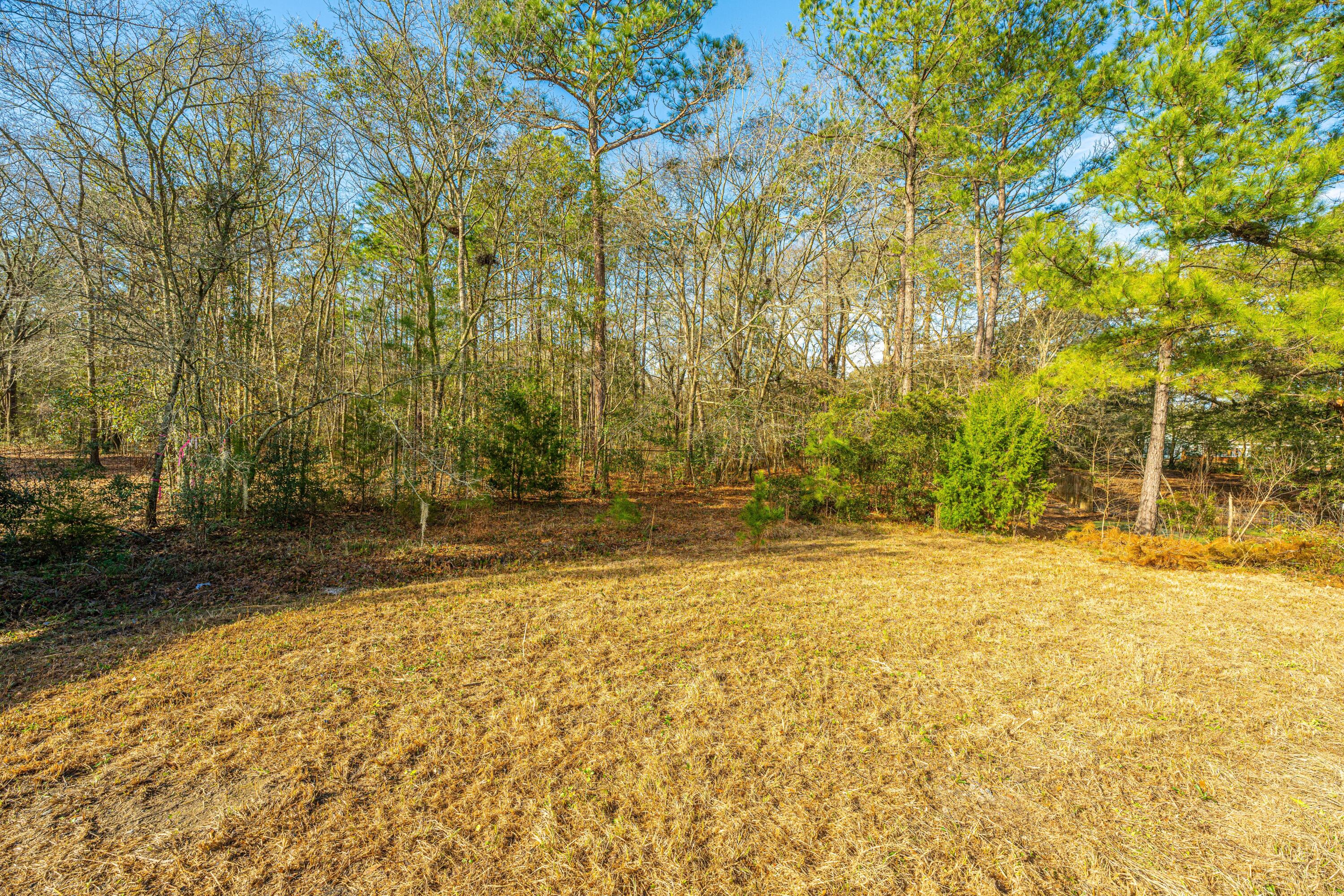 5731 Chaplins Landing Road Hollywood, SC 29449 - Photo 35 of 41 5731ChaplinsLandingRd047