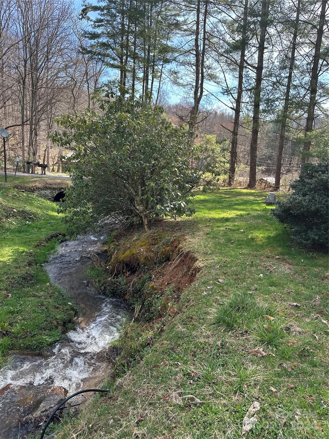 186 Stiles Road Waynesville, NC 28786 - Photo 16 of 18 a view of backyard with green space
