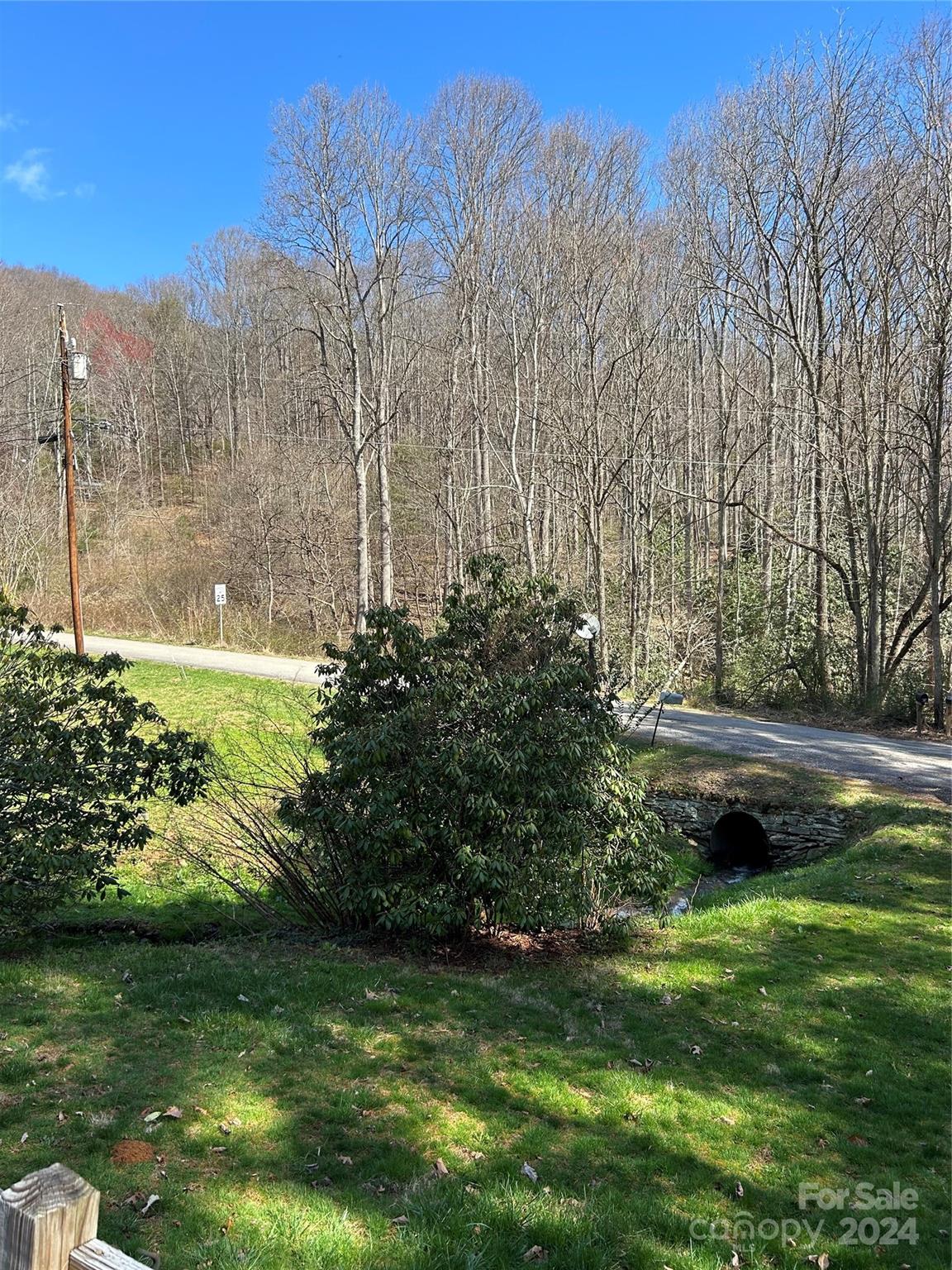 186 Stiles Road Waynesville, NC 28786 - Photo 5 of 18 a view of a water pond with green yard