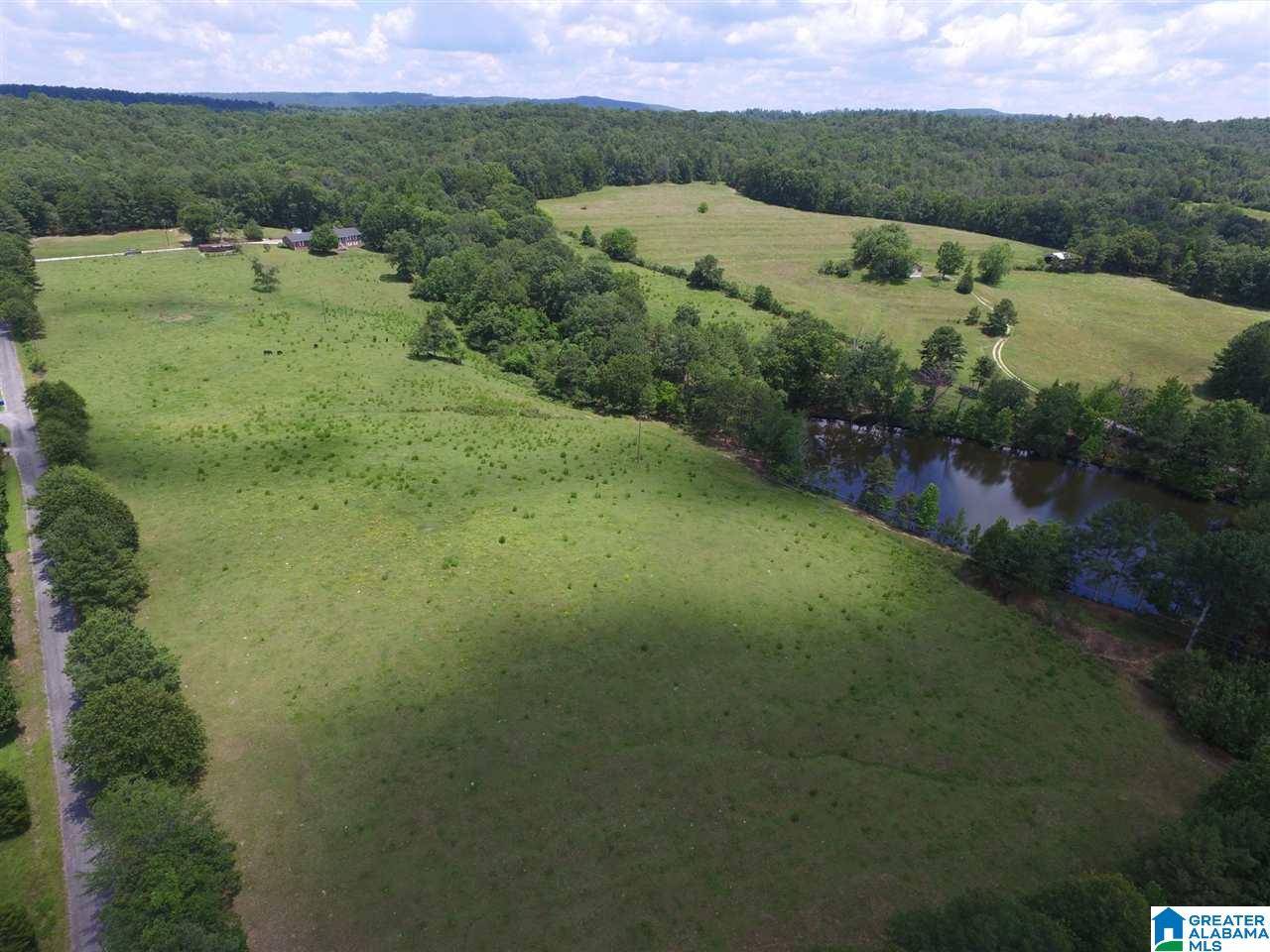 1900 Kiowa Road Remlap, AL 35133 - Photo 5 of 36