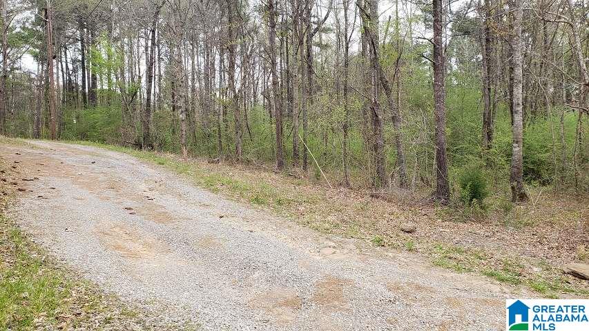 7080 Groundhog Road Morris, AL 35116 - Photo 5 of 7
