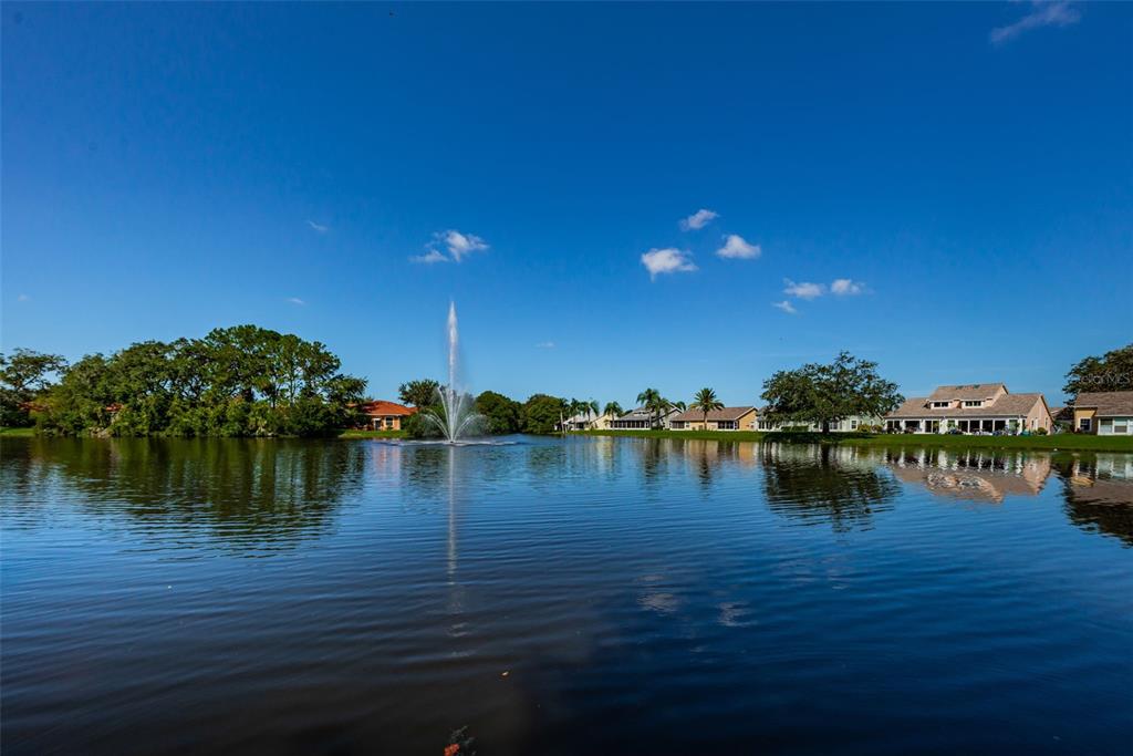 7807 Hardwick Drive, Unit 123 New Port Richey, FL 34653 - Photo 56 of 60