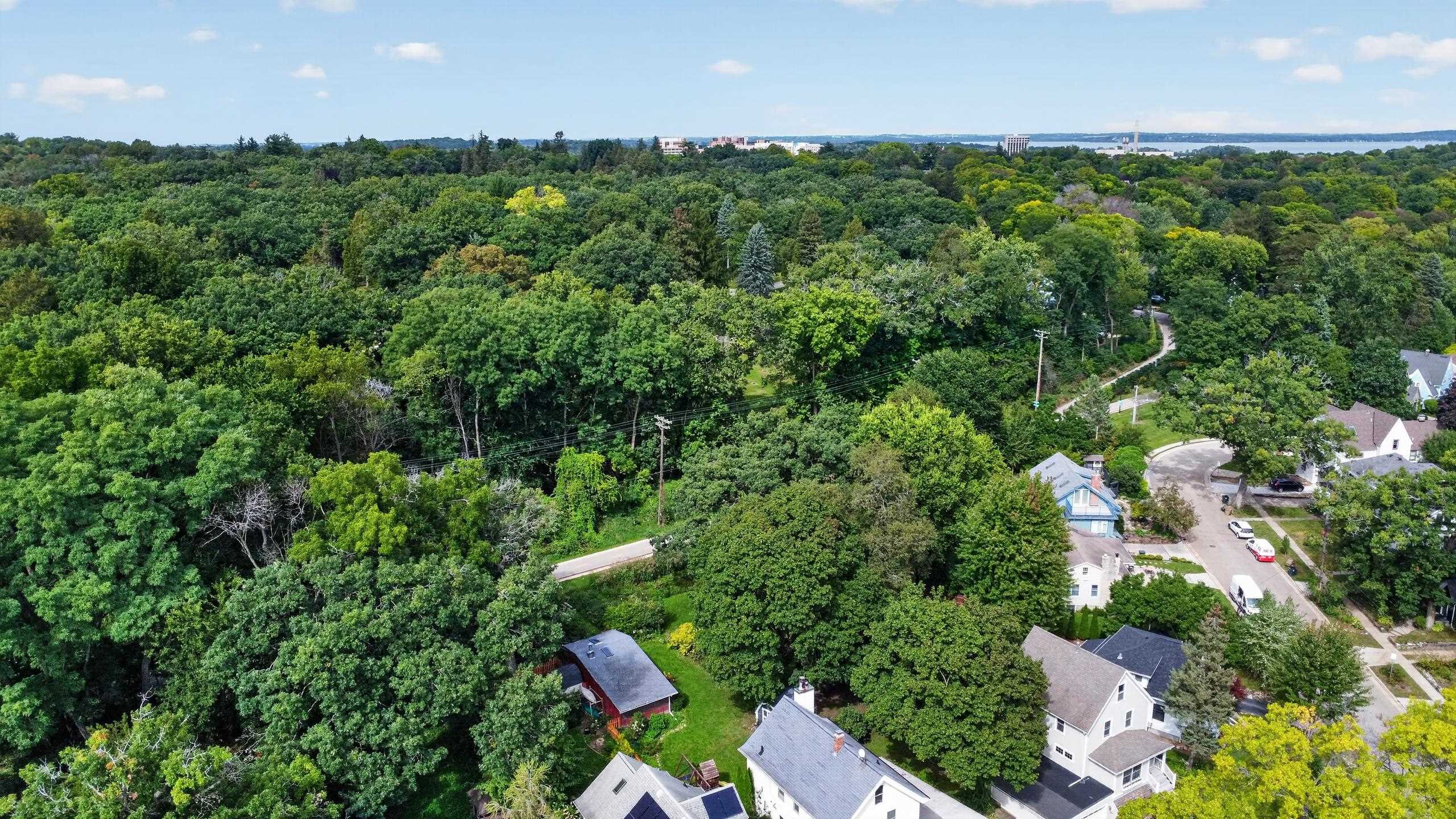 613 Sheldon Street Madison, WI 53711 - Photo 65 of 76 Gallery Image 65