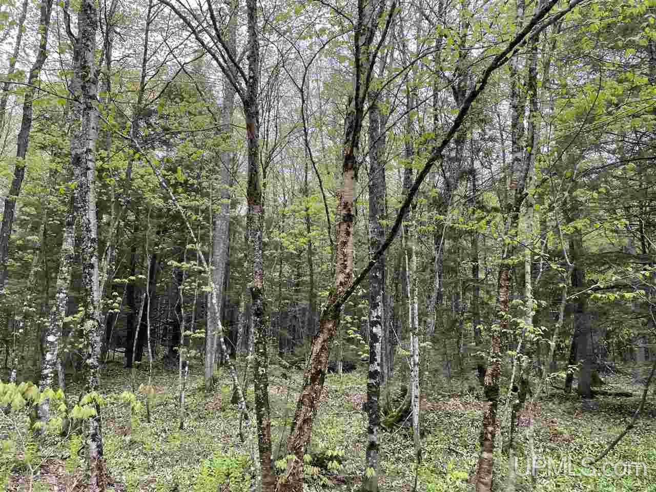 0 County Road 577 Road, Unit ANNA RIVER RDP Munising, MI 49862 - Photo 15 of 26