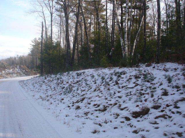 0 Whitetail Crossing Road Gleason, WI 54435 - Photo 8 of 8 Gallery Image 8
