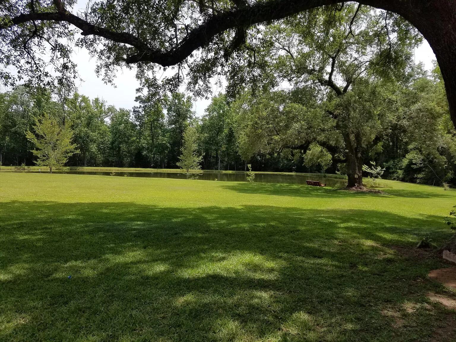 a view of a golf course with a trees