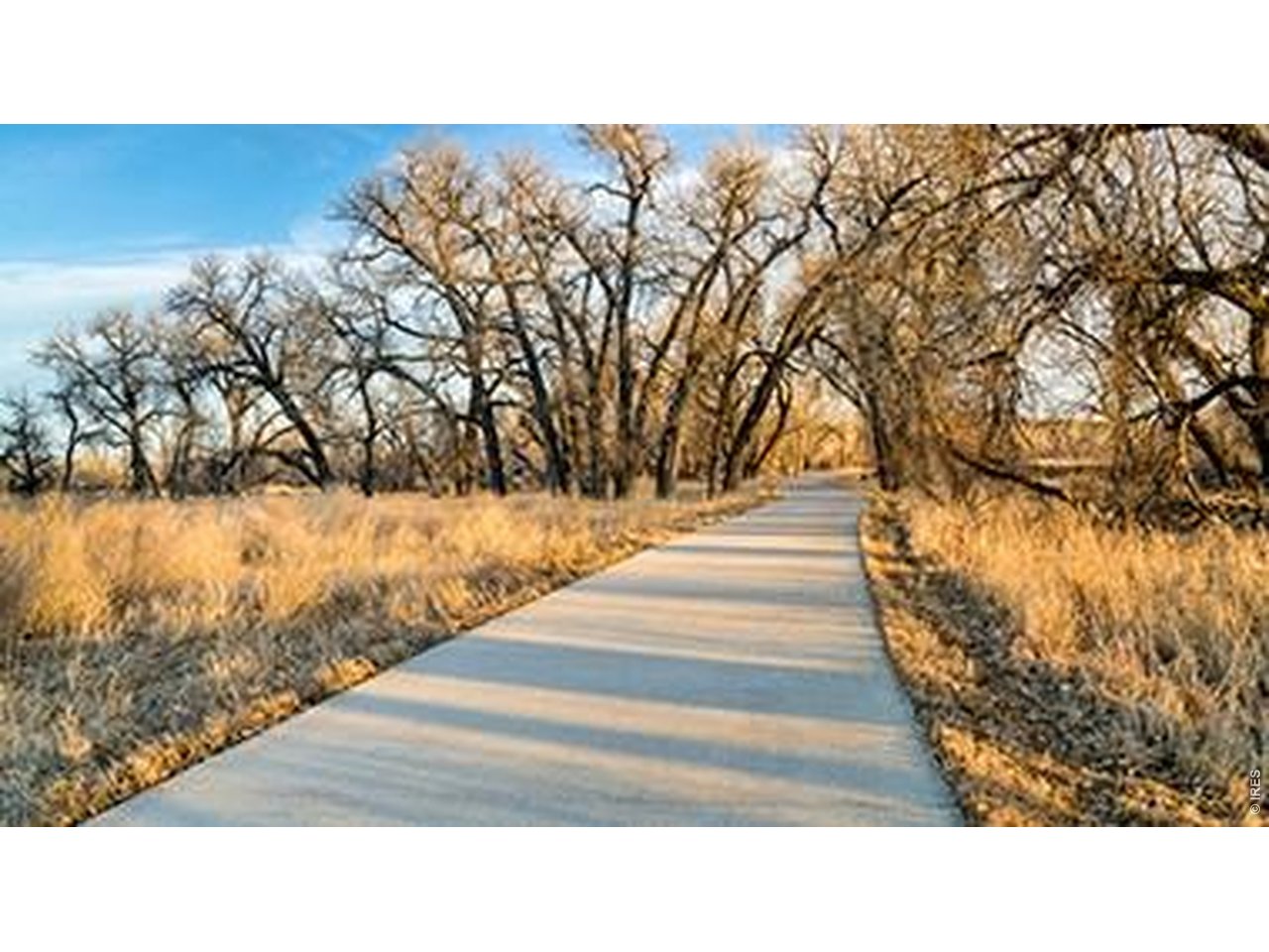 656 Noola Street Windsor, CO 80550 - Photo 31 of 32 RIVER BLUFFS OPEN SPACE JUST DOWN THE ROAD FROM TREVENNA
