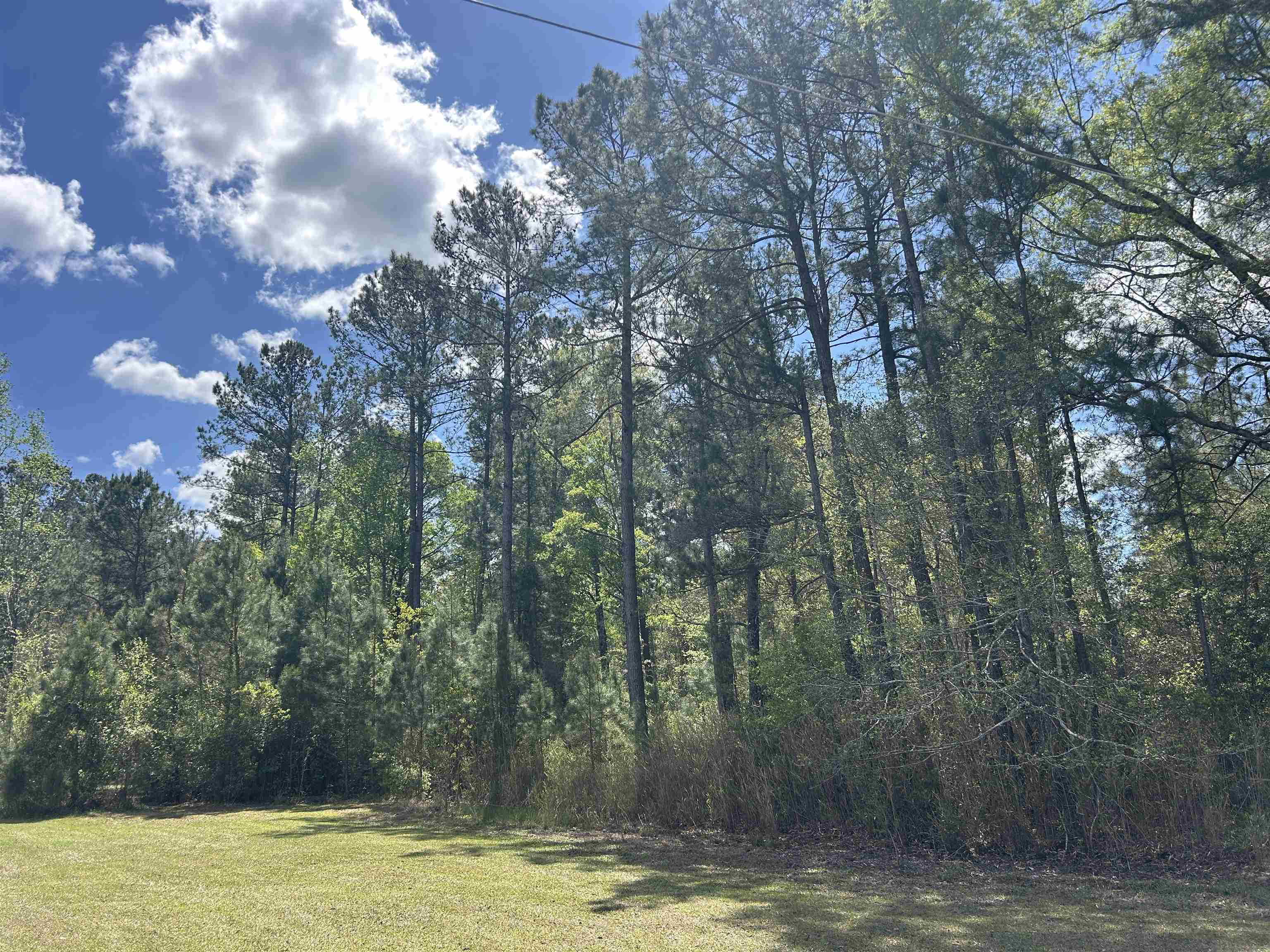 Tbd Georgetown Highway Andrews, SC 29510 - Photo 2 of 15