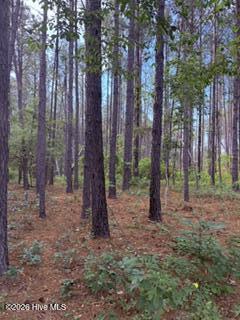645 Bent Knee Road Keysville, GA 30816 - Photo 21 of 27 Woods