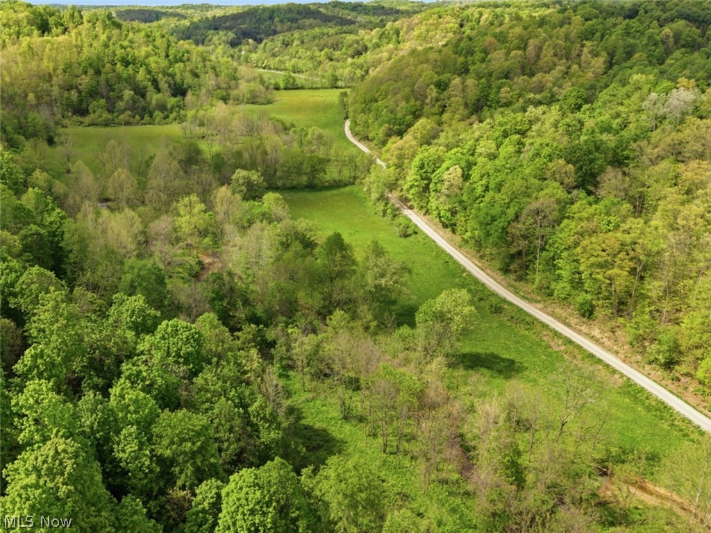 0 Pratts Run Road Woodsfield, OH 43793 - Photo 15 of 24