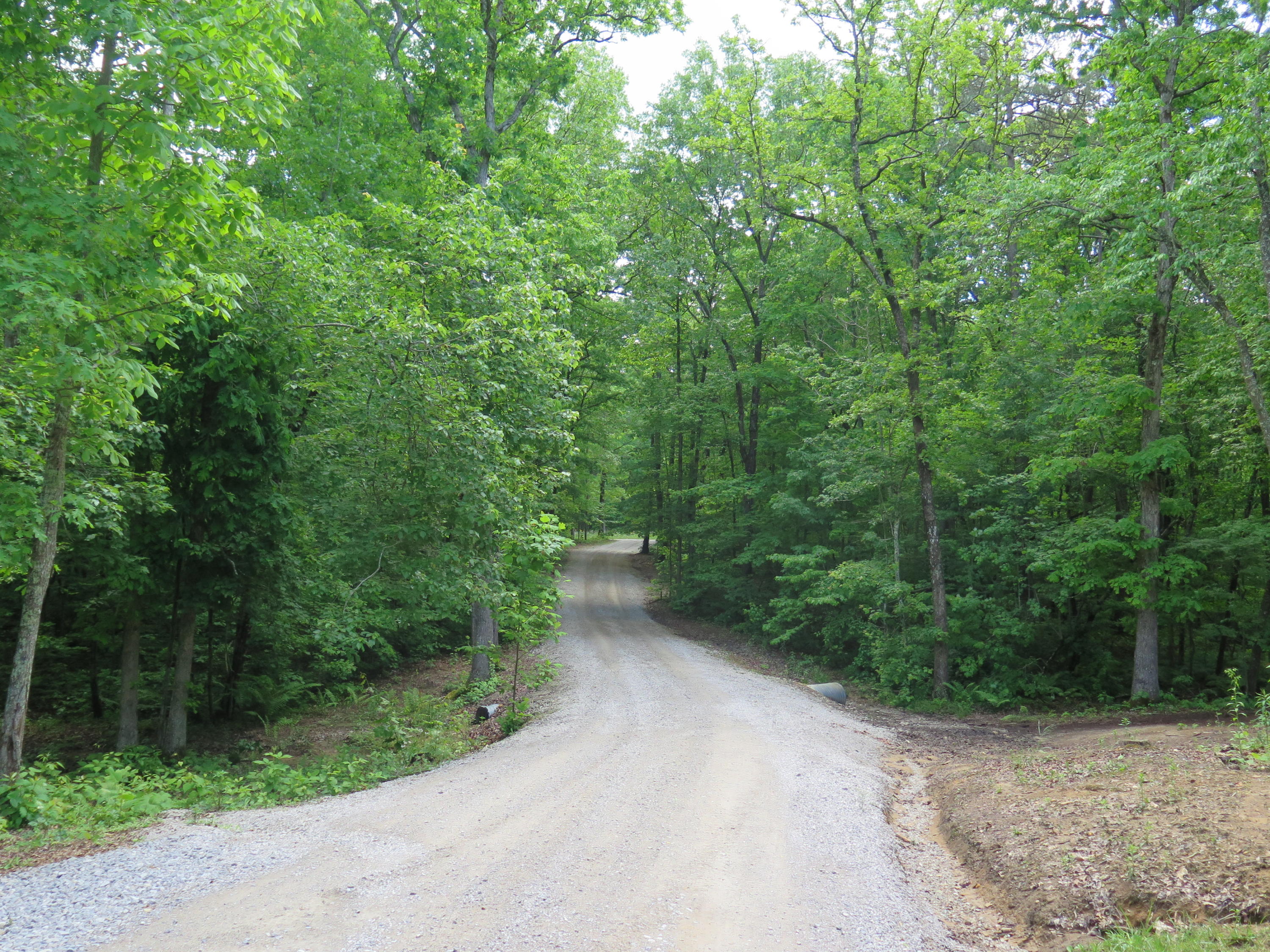 552 Robs Road Grimsley, TN 38565 - Photo 5 of 36 IMG_1958