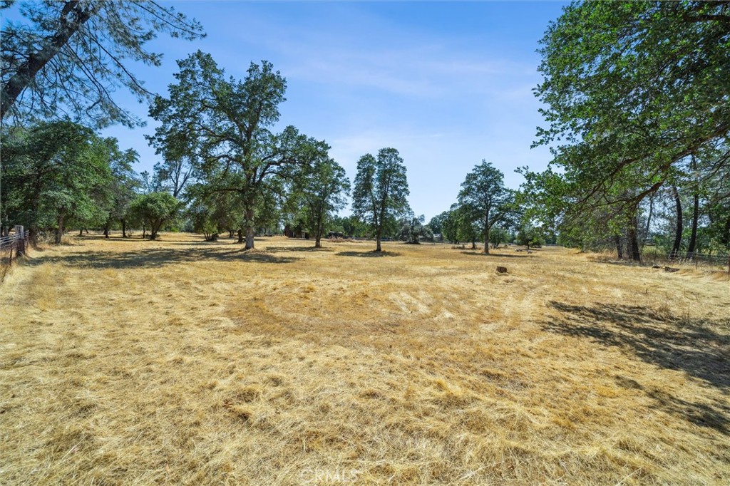 6791 Whispering Canyon Drive Anderson, CA 96007 - Photo 37 of 51 a view of a yard with a tree