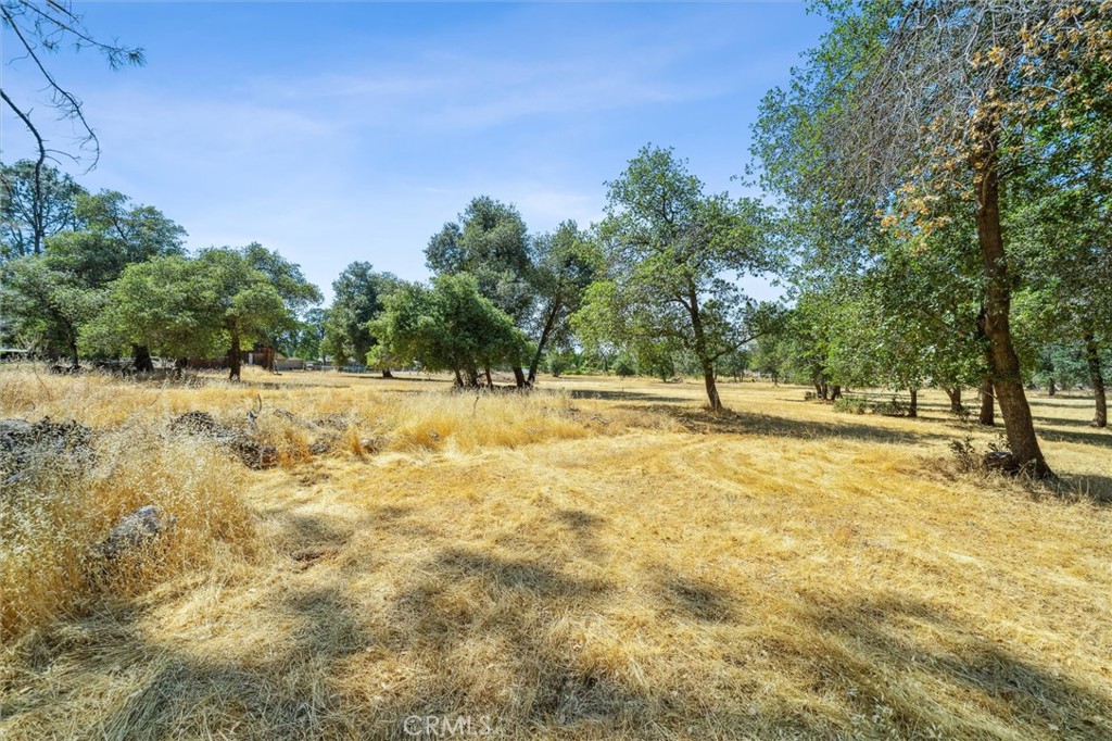 6791 Whispering Canyon Drive Anderson, CA 96007 - Photo 38 of 51 a view of yard with trees