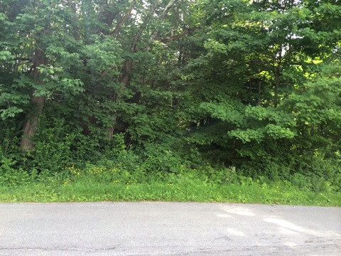 On Coppermine Road Monroe, NH 03771 - Photo 1 of 2