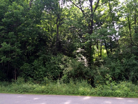 On Coppermine Road Monroe, NH 03771 - Photo 2 of 2