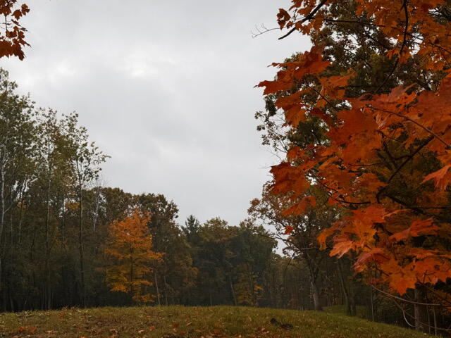 Lt1 Oak Knoll Road Rochester, WI 53105 - Photo 34 of 43 IMG_2734.JPG