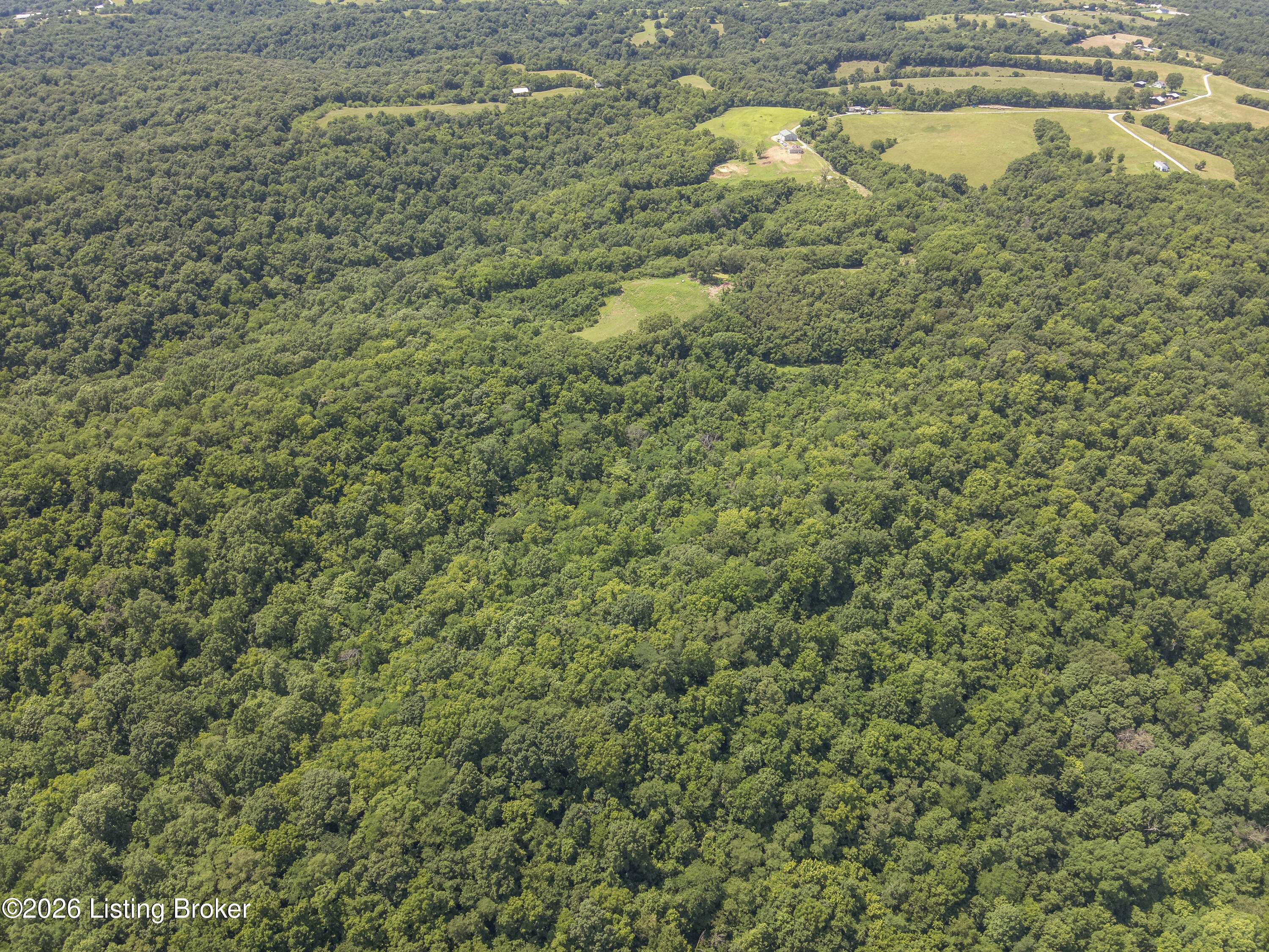 167 Price Road Bethlehem, KY 40007 - Photo 46 of 84 15-DJI_20260624151510_0003_W