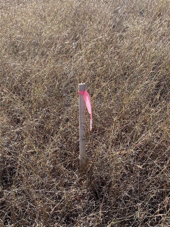 Tbd Lightning Ranch Road Georgetown, TX 78628 - Photo 11 of 15