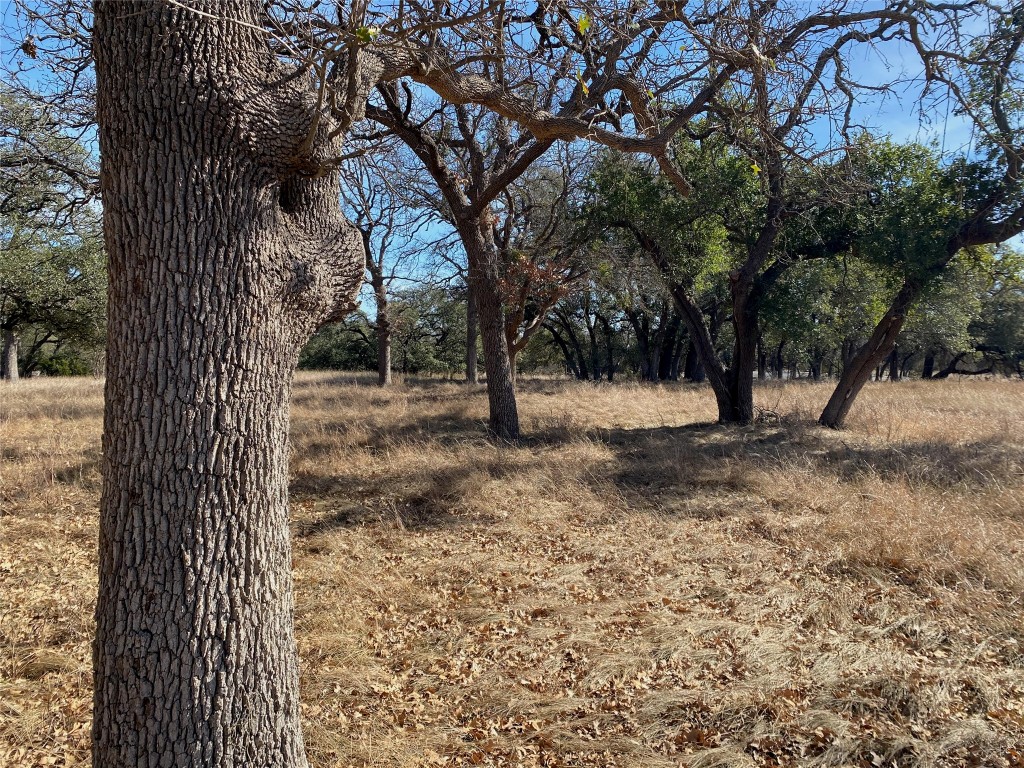 Tbd Lightning Ranch Road Georgetown, TX 78628 - Photo 3 of 15