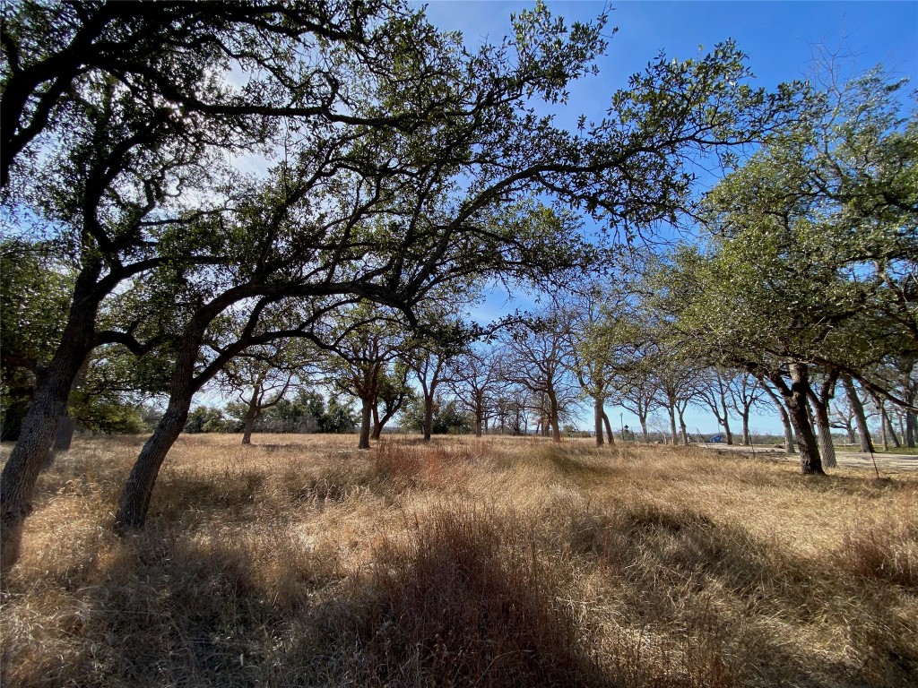 Tbd Lightning Ranch Road Georgetown, TX 78628 - Photo 4 of 15