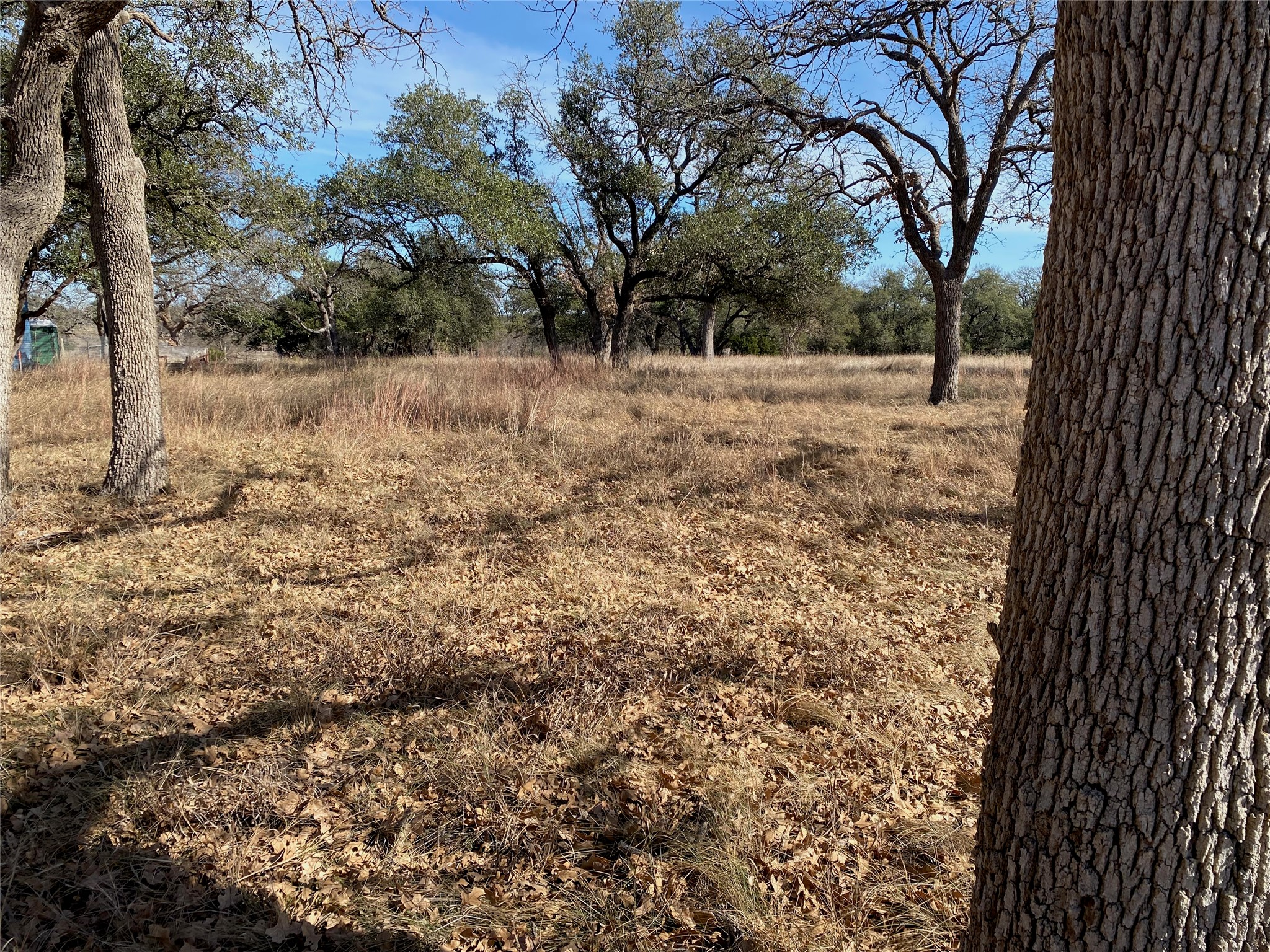 Tbd Lightning Ranch Road Georgetown, TX 78628 - Photo 6 of 15
