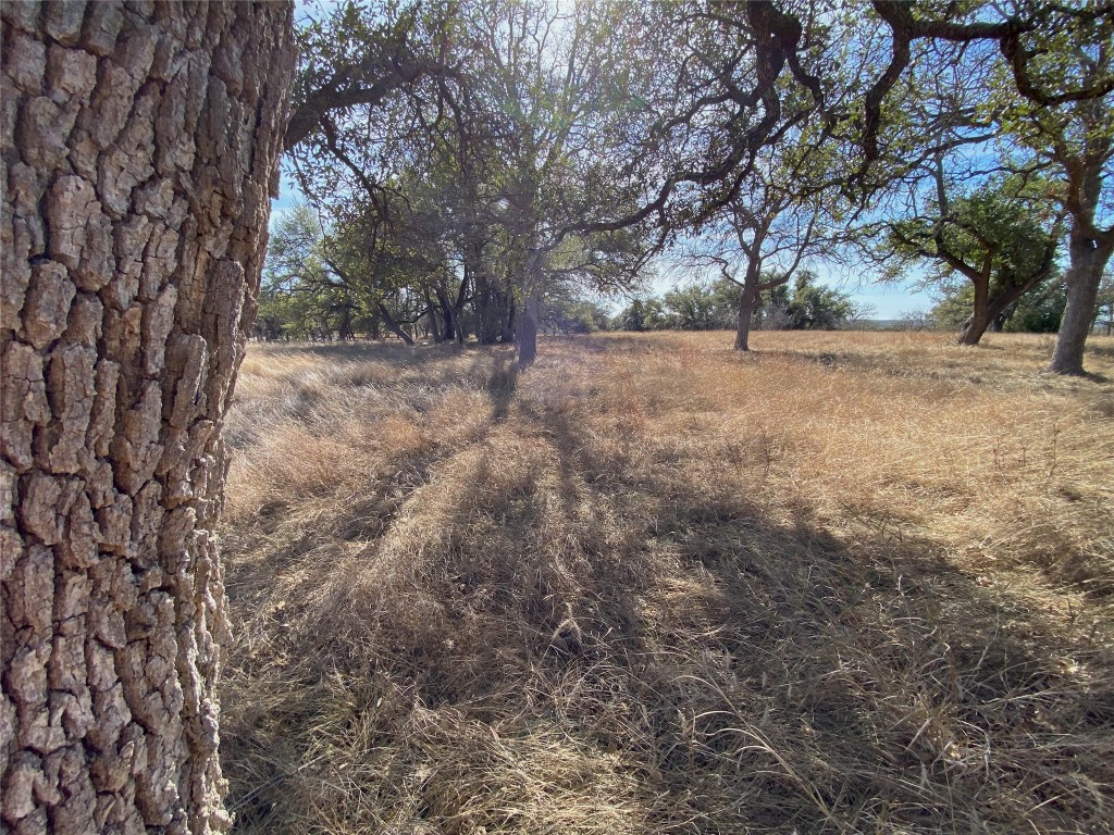 Tbd Lightning Ranch Road Georgetown, TX 78628 - Photo 7 of 15